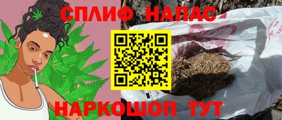 гидра Заволжье