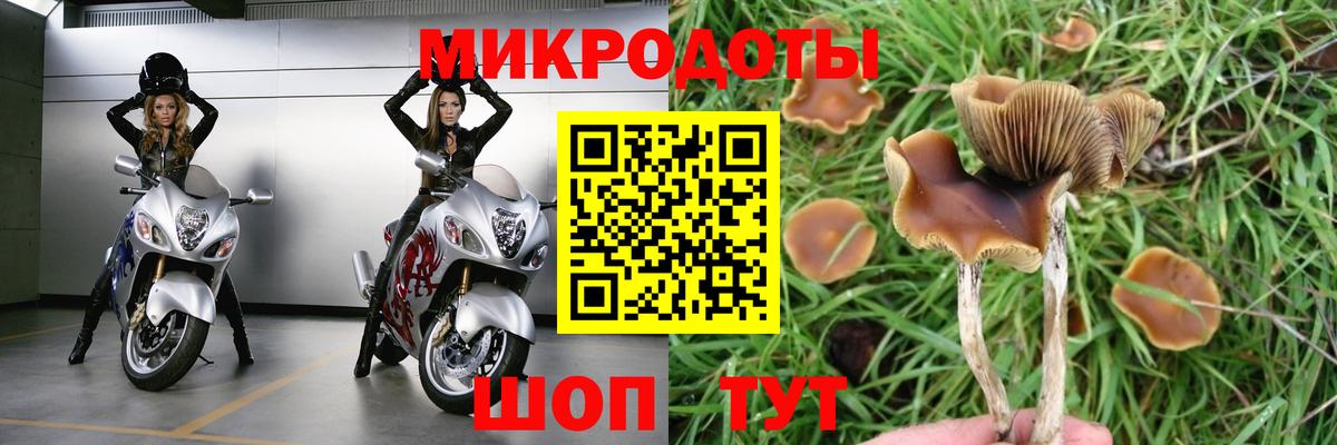 Псилоцибиновые грибы Magic Shrooms Зеленокумск