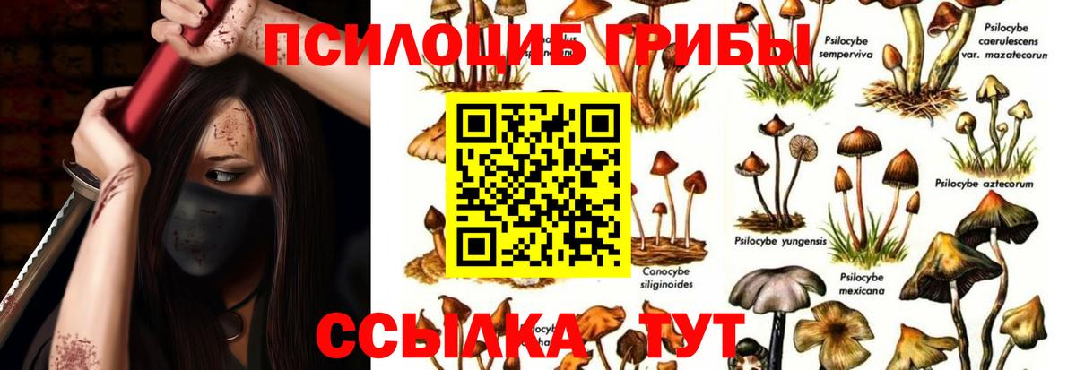 Зеленокумск  Галлюциногенные грибы Psilocybine cubensis  Вход с VPN 